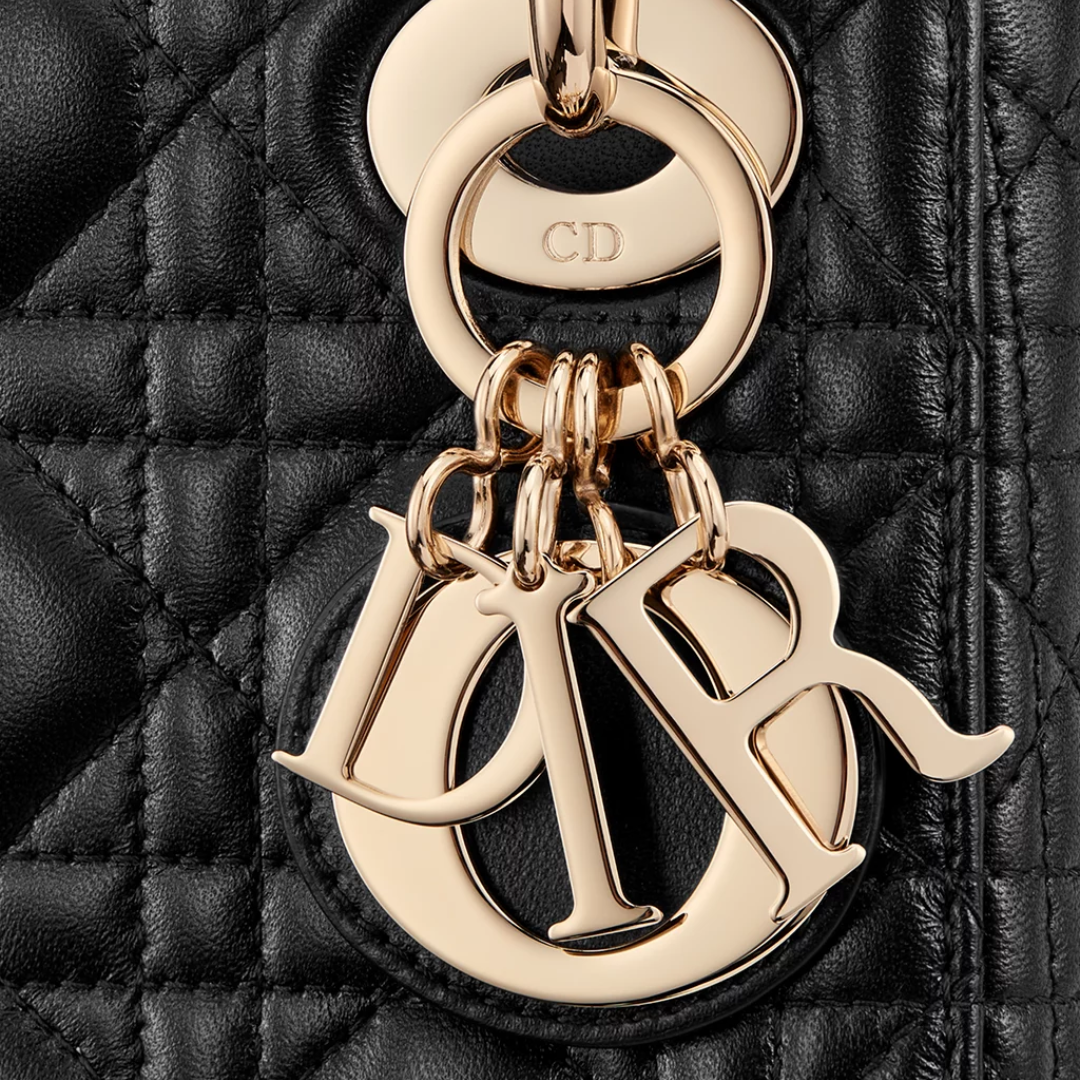 Mini Lady Dior Bag