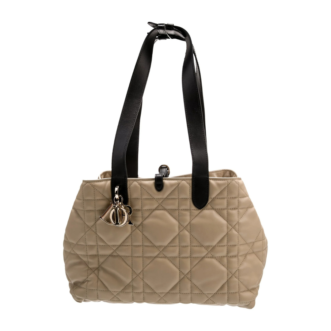 Dior Toujours Small Bag
