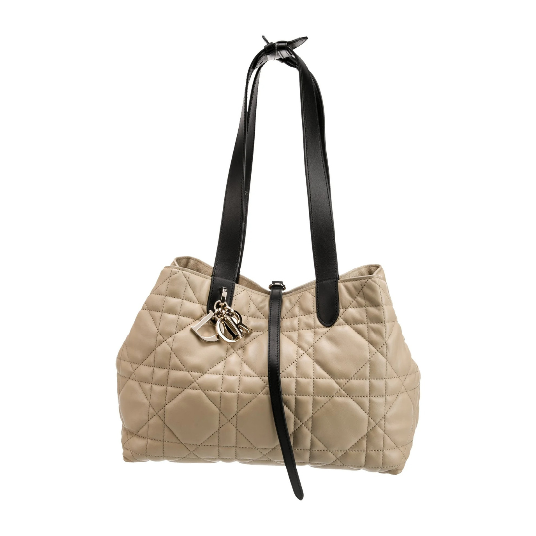 Dior Toujours Small Bag