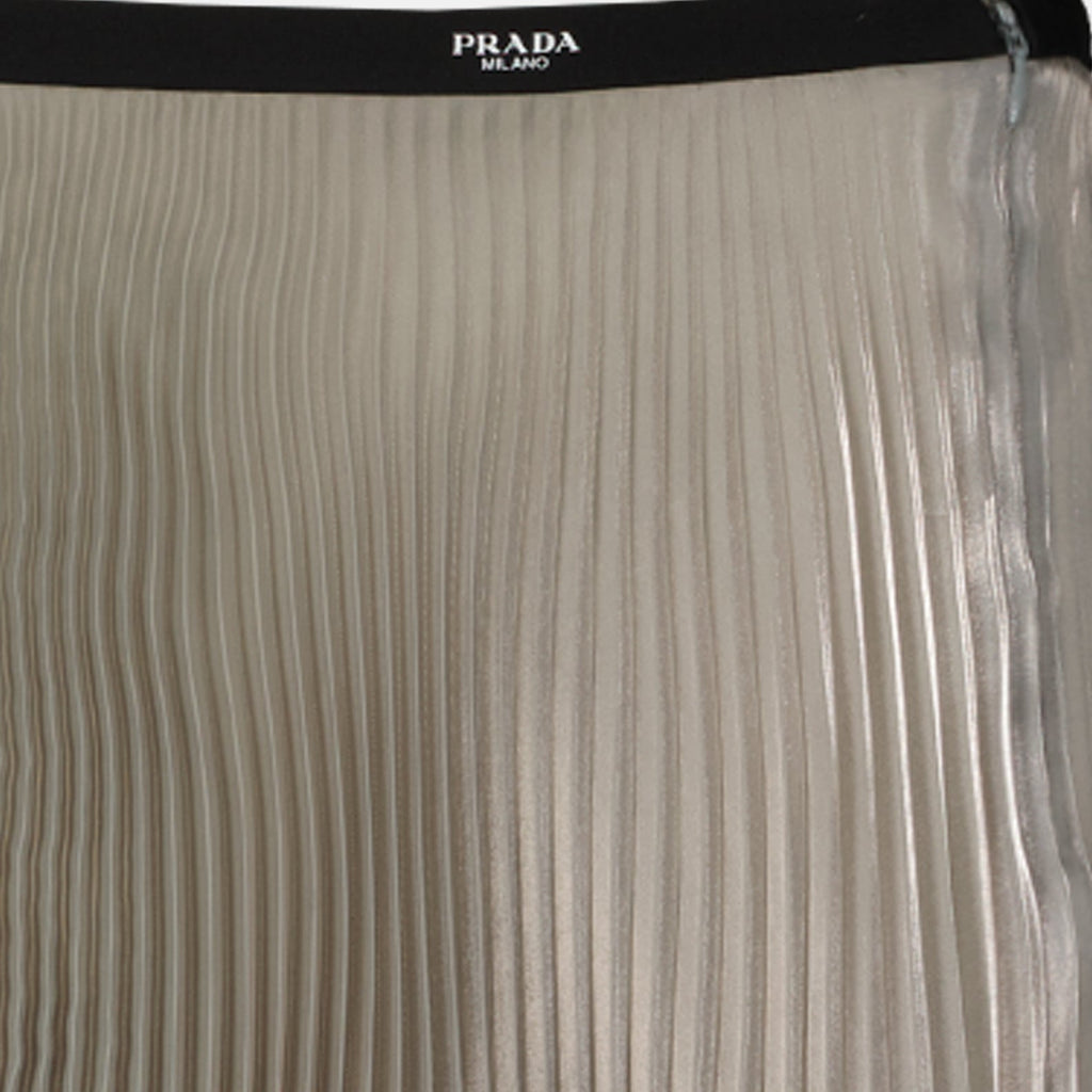 Pleated Skirt