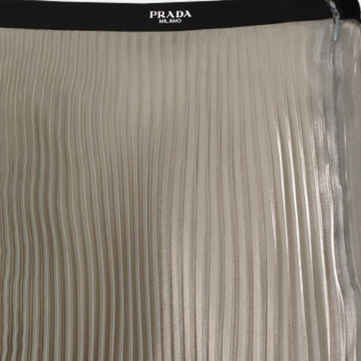 Pleated Skirt